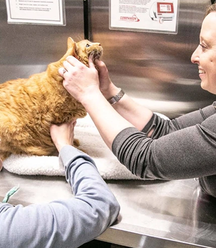 Diagnostic Care Image