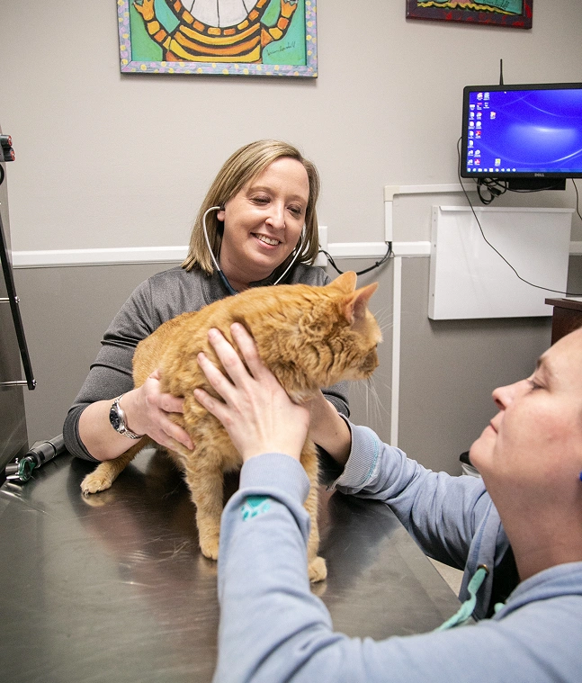 Welcome to Parkville Animal Hospital Image