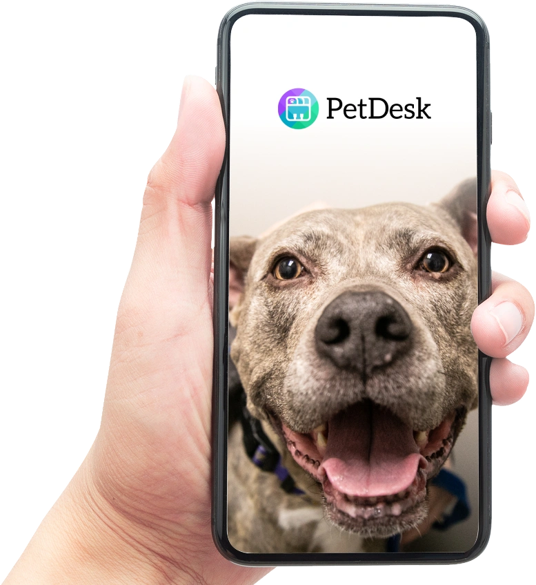 Download Our PetDesk App Today! Image