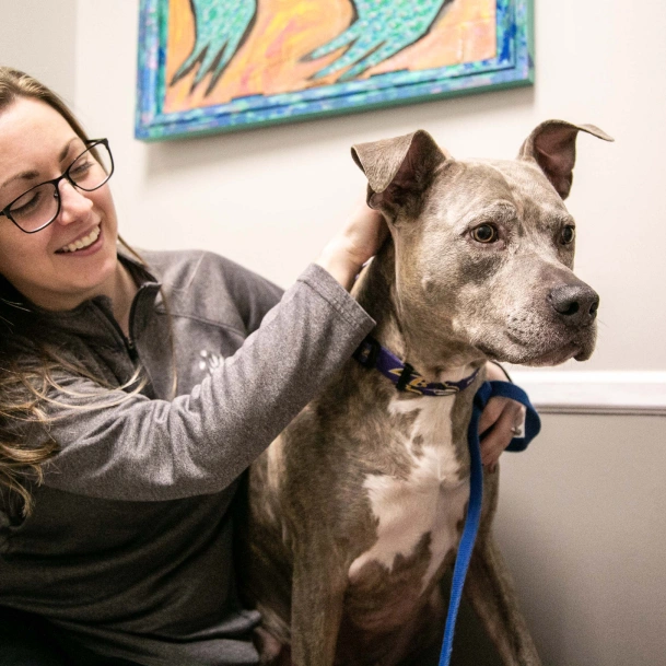 Refer-a-Friend Program