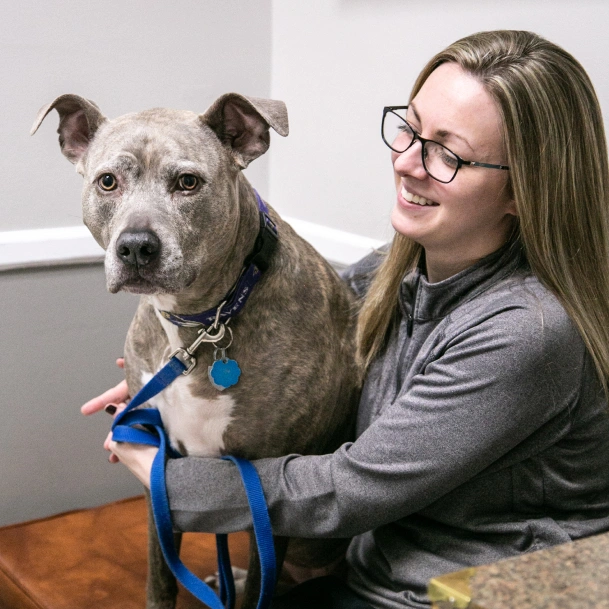 Health & Travel Certificates