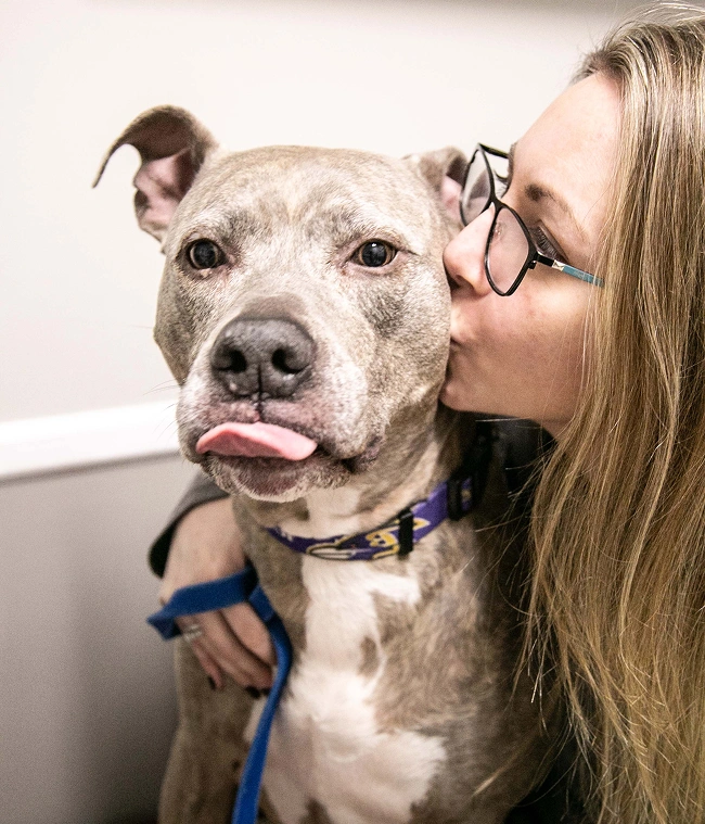 We’re Excited to Meet You & Your Pet Image